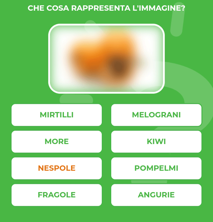 NESPOLE.gif