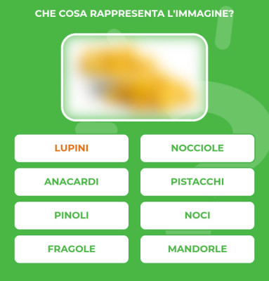 LUPINI.jpg