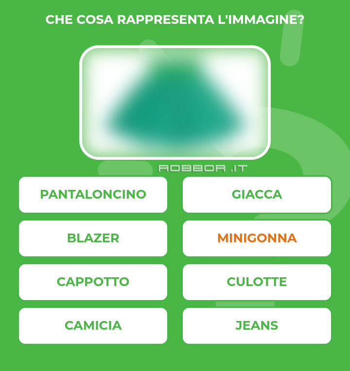 MINIGONNA.jpg