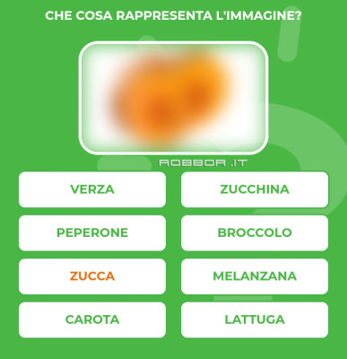 ZUCCA.jpg