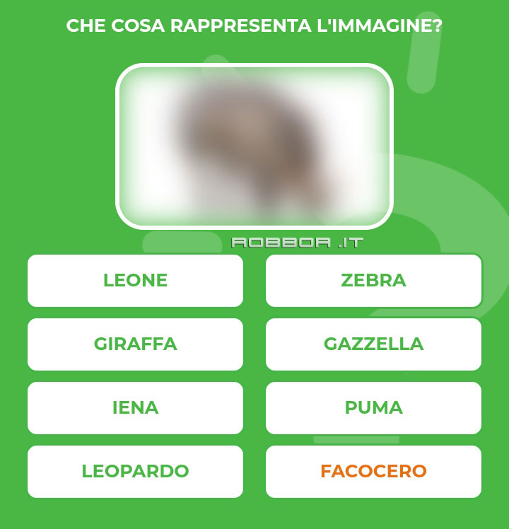 FACOCERO.jpg