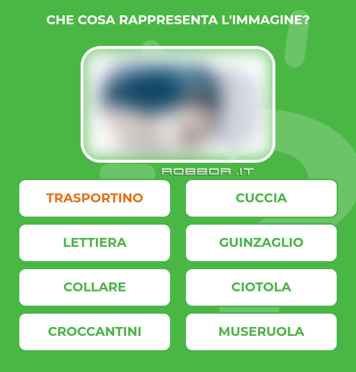 TRASPORTINO.jpg