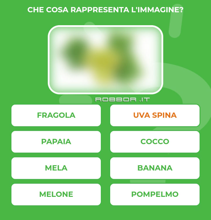 UVA-SPINA.jpg