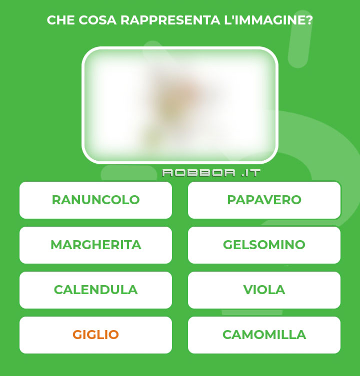 GIGLIO.jpg