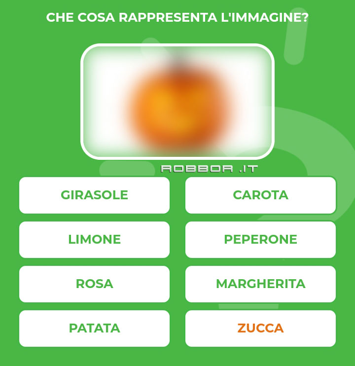 ZUCCA.jpg