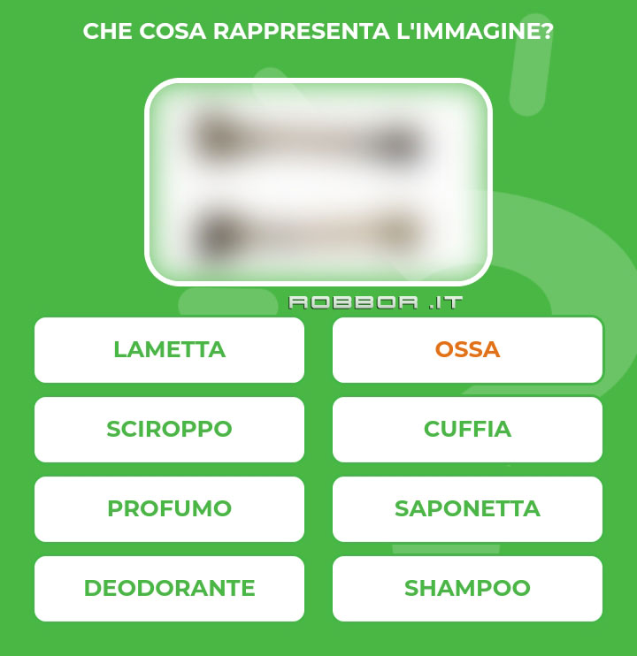 OSSA.jpg