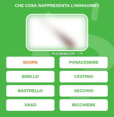 SCOPA.jpg