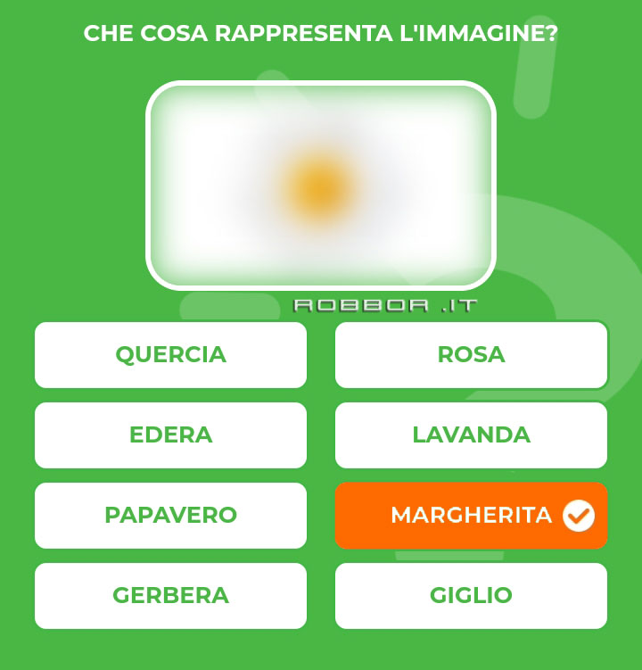 MARGHERITA.jpg