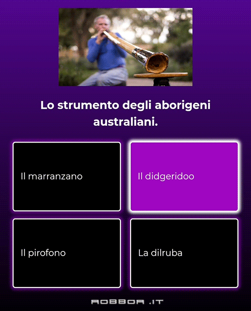 indovina quiz winday 12-11-2023 (7).png