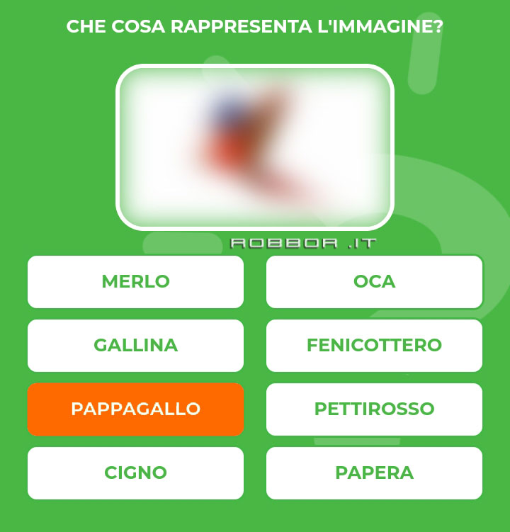 PAPPAGALLO.jpg