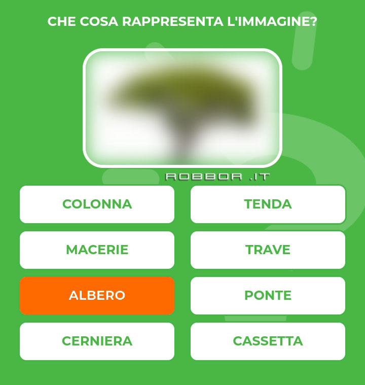 ALBERO.jpg