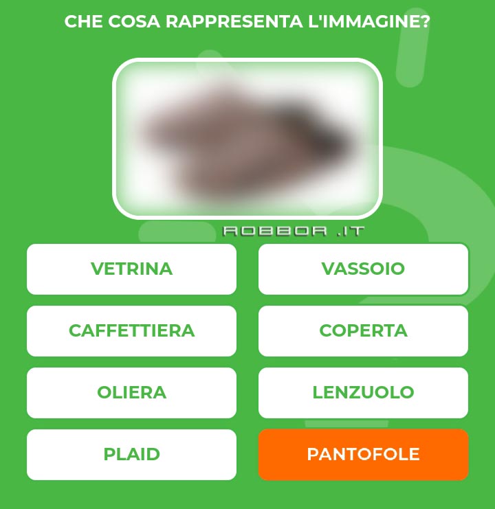 PANTOFOLE.jpg