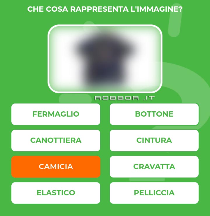 CAMICIA.jpg