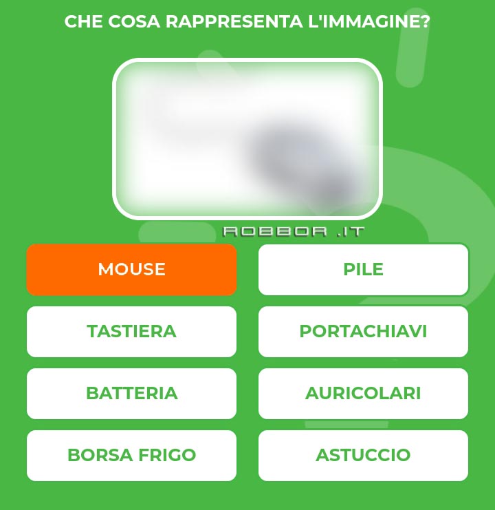 MOUSE.jpg