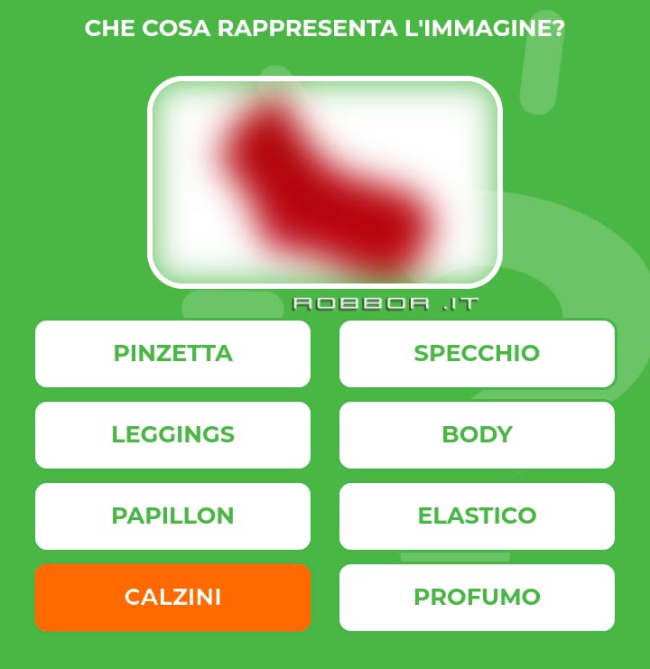 CALZINI.jpg