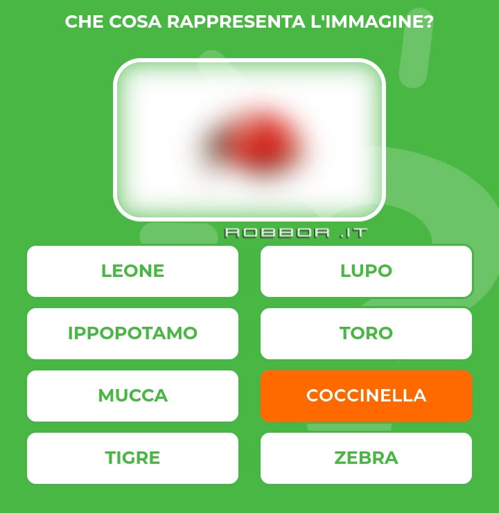 COCCINELLA.jpg