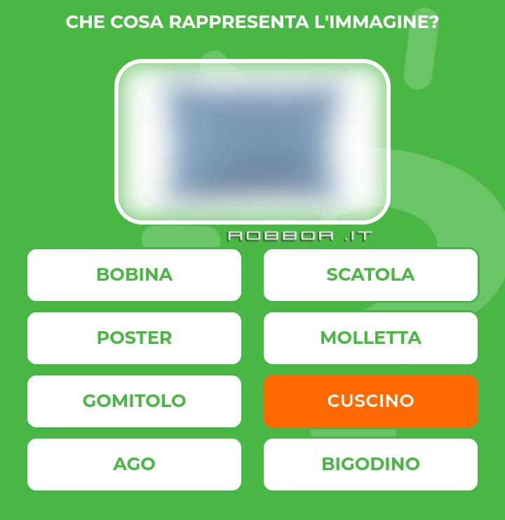 CUSCINO.jpg