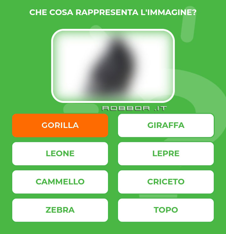 GORILLA.jpg