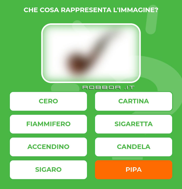 PIPA.jpg