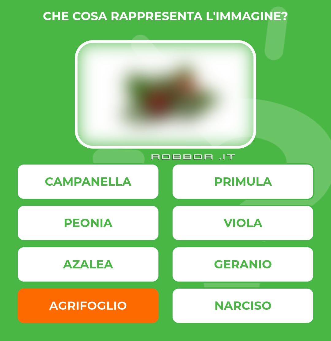 AGRIFOGLIO.jpg