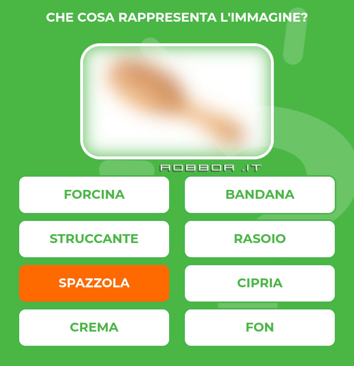 SPAZZOLA.jpg