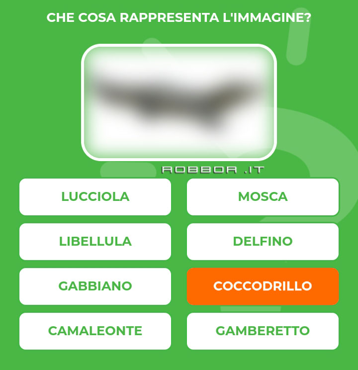 COCCODRILLO.jpg