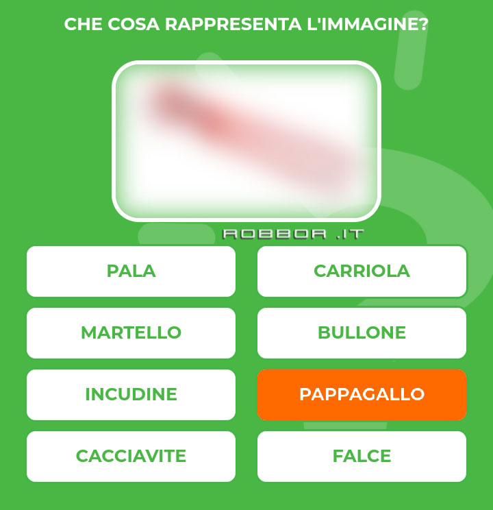 PAPPAGALLO.jpg