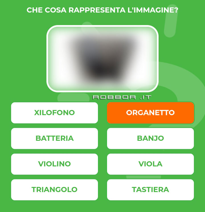 ORGANETTO.jpg
