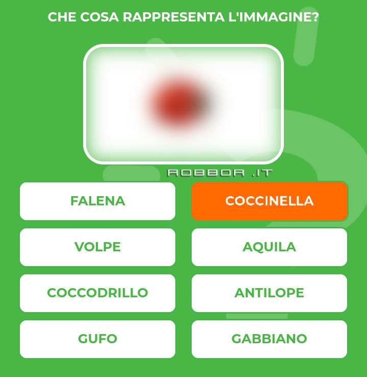 COCCINELLA.jpg