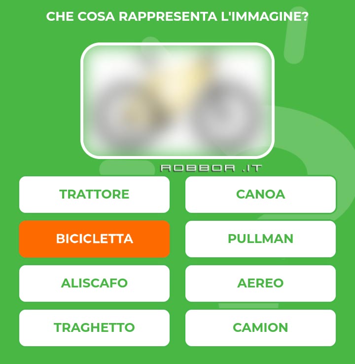 BICICLETTA.jpg