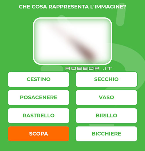 SCOPA_2.jpg