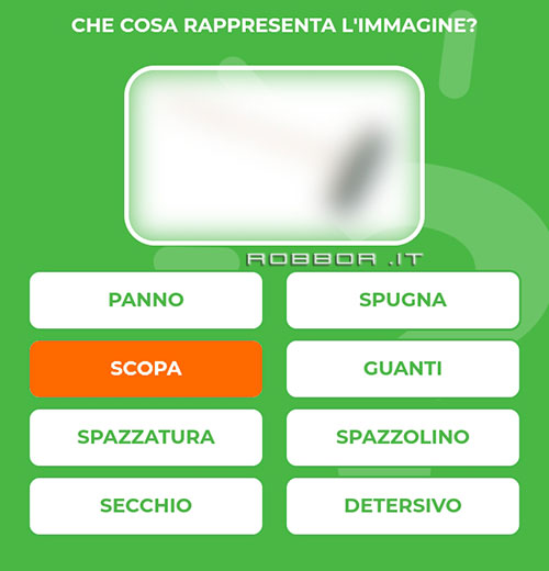 SCOPA.jpg