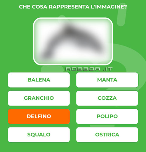 DELFINO.jpg