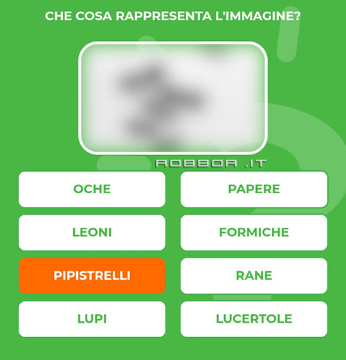PIPISTRELLI.jpg