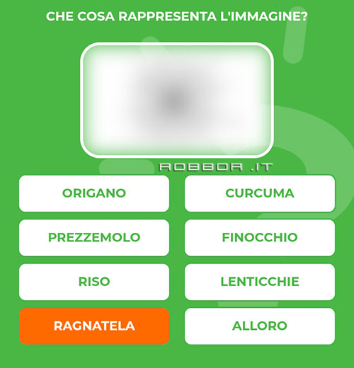 RAGNATELA.jpg