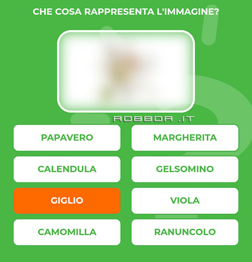 GIGLIO.jpg