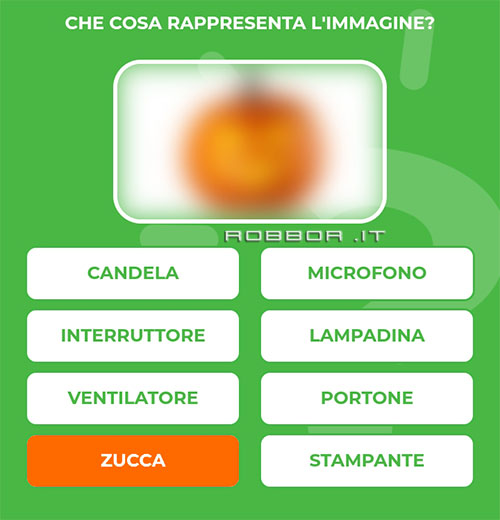 ZUCCA.jpg