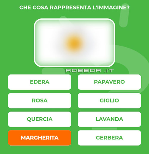 MARGHERITA.jpg