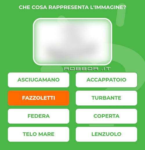 FAZZOLETTI.jpg