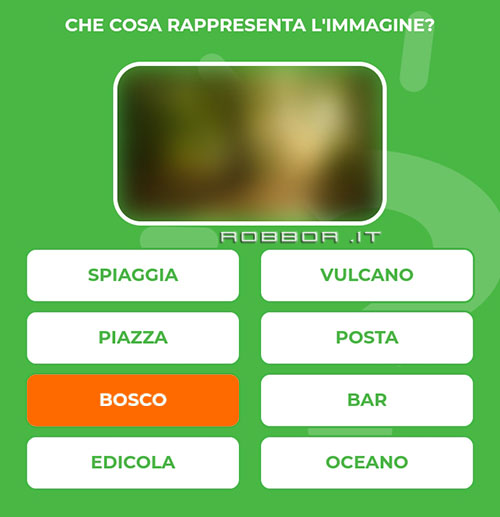 BOSCO.jpg