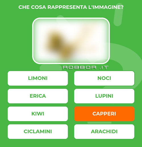 CAPPERI.jpg
