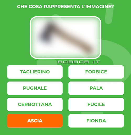 ASCIA.jpg