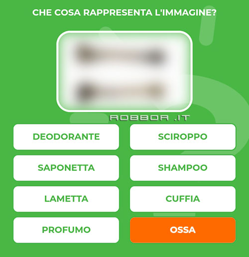 OSSA.jpg
