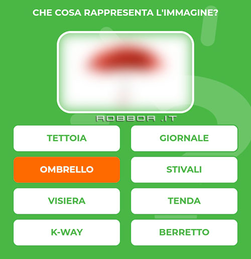 OMBRELLO.jpg