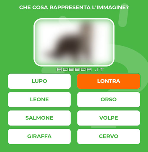 LONTRA.jpg