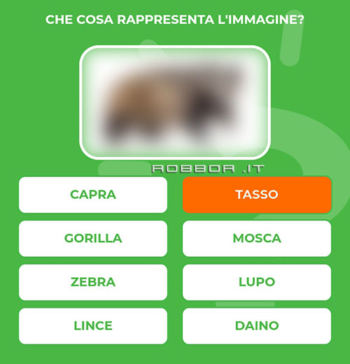 TASSO.jpg