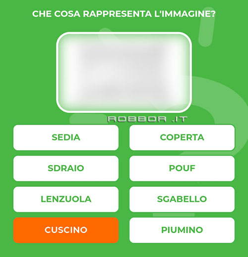 CUSCINO.jpg