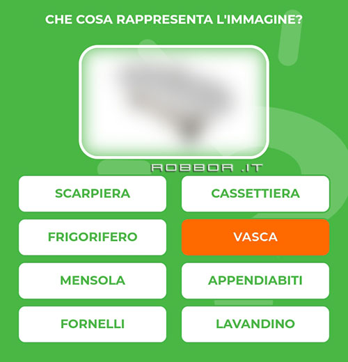 VASCA.jpg