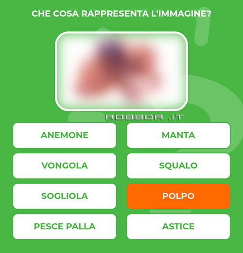 POLPO.jpg