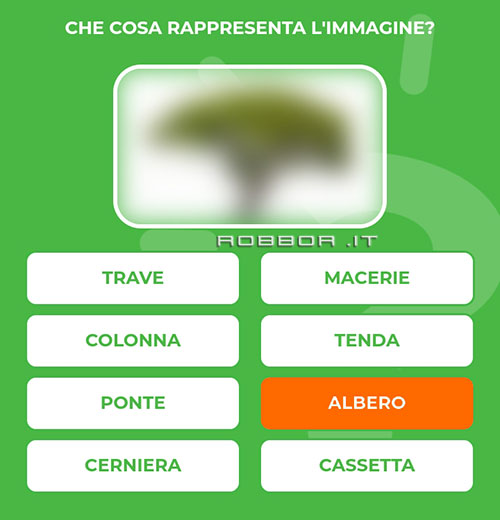 ALBERO.jpg